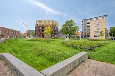 Omgeving