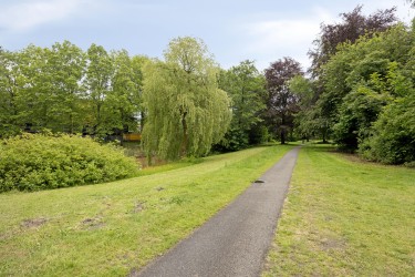Omgeving