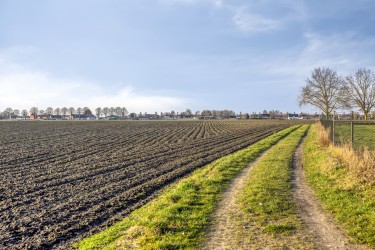 Extra foto's