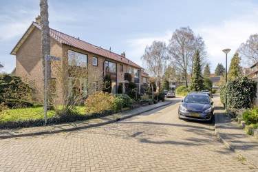 Groene omgeving