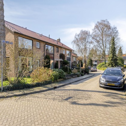 Groene omgeving