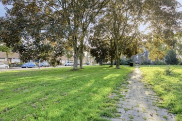 Omgeving