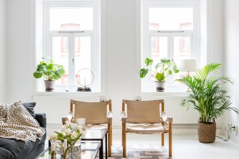 Planten in huis