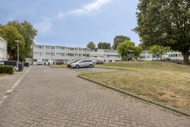 Tuin