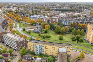 Omgeving