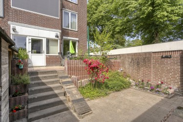 Tuin