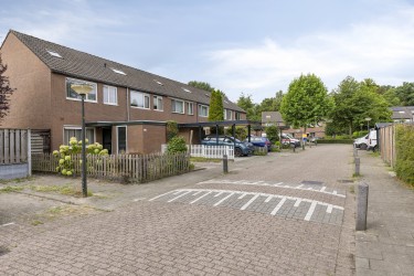Omgeving