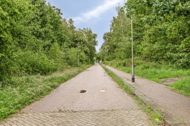 Kindvriendelijke buurt