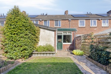 Tuin