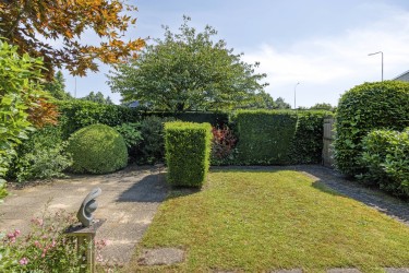 Tuin