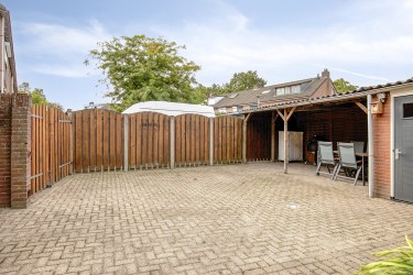 Tuin