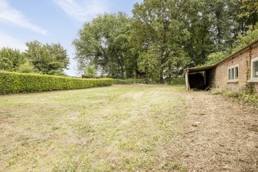 Tuin