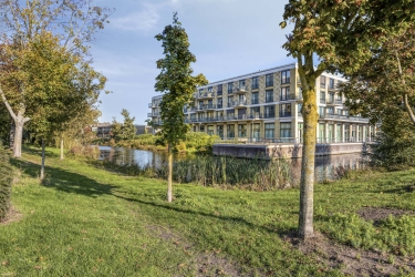Omgeving
