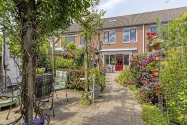 Tuin