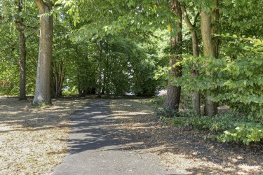 Omgeving