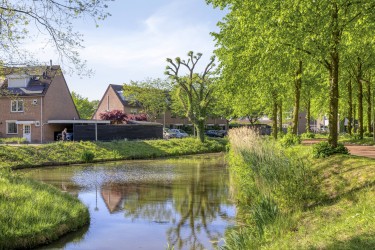 Omgeving