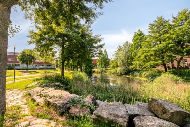 Omgeving