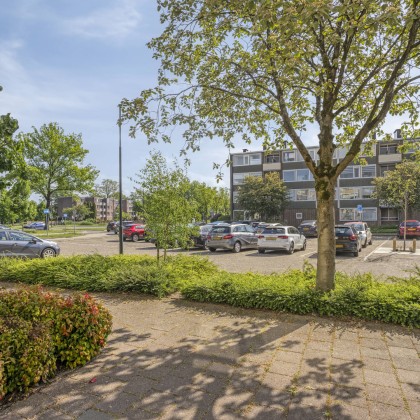 Nabij voorzieningen