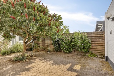 Tuin