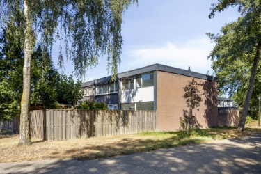 Omgeving
