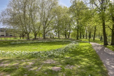 Extra foto's