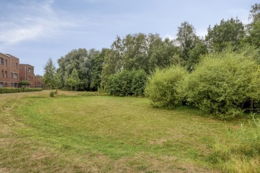 Omgeving