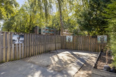 Fijne tuin